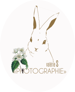 phtographe mariage bordeaux
